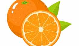 橙子动漫,青春校园的甜蜜旋律